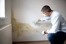 Asbestos and Lead Testing During Mold Inspection in Hollywood, FL